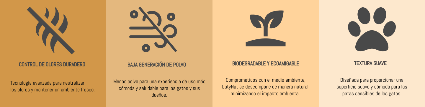 foto beneficios